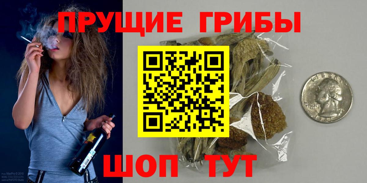 Псилоцибиновые грибы MAGIC MUSHROOMS Заречный